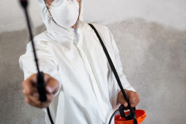 Premium Photo _ Portrait of manual worker holding crop spray